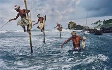 Góc nhìn chuyên gia: VN-Index tiếp tục sideway down, nhà đầu tư có thể “nhặt nhạnh” cổ phiếu