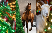 Tử vi tuần mới (27/11 - 3/12): Top 5 con giáp may mắn nhất, gặp nhiều cơ hội lội ngược dòng trong công việc