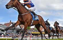 Rầm rộ kế hoạch phát hành thêm, “game” tăng vốn ngành chứng khoán nóng trở lại giai đoạn cuối năm 2023