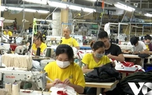 Lao động trẻ mất việc: Nhiều hệ lụy về an sinh xã hội