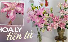 Tết sắp tới, hội chị em săn lùng loại hoa không nhụy, mua cả củ về tự trồng cho kịp cắm dịp năm mới