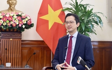 Việt Nam sẽ công bố một số sáng kiến, cam kết mới tại COP28