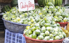 Hàng chục tấn chanh Trung Quốc theo "trend" trà chanh giã tay đổ về TP HCM mỗi ngày