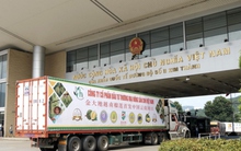 Lào Cai sau nhiều năm mới ghi nhận hiện tượng “xuất siêu”