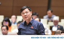 ĐBQH hiến kế “siết vòng kim cô” để loại bỏ tình trạng bỏ cọc khi đấu giá tài sản