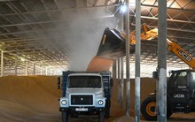 Nga xem xét lệnh cấm xuất khẩu ngũ cốc