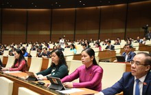 Quốc hội yêu cầu xử lý nghiêm sở hữu chéo, doanh nghiệp 'sân sau' ngân hàng