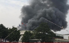 Cháy xưởng sản xuất thuốc thú y ở Hà Nội, 4 người may mắn thoát nạn