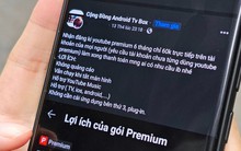 Nhiều người dùng Internet "sập bẫy" chiêu lừa đảo mua YouTube Premium với giá 9K