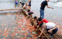 Điểm đến đang hút khách, sao bỏ?