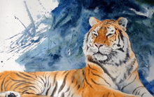 Càng về cuối năm, 4 con giáp này may mắn vượt bậc, lộc chảy đầy túi, vận số đỏ rực, thời tới cản không kịp