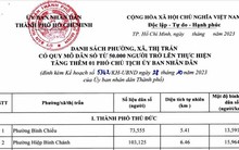 Chi tiết kế hoạch tăng thêm 57 phó chủ tịch cấp huyện, xã ở TPHCM