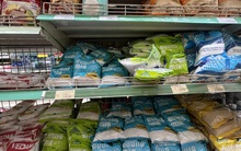 Sẽ nhập khẩu đường thông qua đấu giá