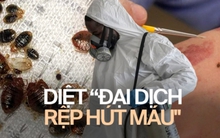 Chuyên viên kể chuyện đối phó "đại dịch hút máu" tại Paris: Nửa đêm khách gọi đòi nhân viên đến diệt rệp, một dịch vụ lên tới chục triệu đồng