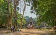 Láng giềng 'ngồi trên đống lửa' vì quy định khắt khe mới của EU, Việt Nam thích ứng ra sao?