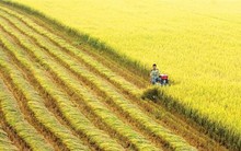 Phát triển bền vững ngành hàng 22 tỷ đô, thúc đẩy bảo vệ cây trồng bằng sản phẩm sinh học