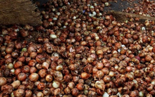 Rau củ giảm giá kịch sản vẫn khó bán, nông dân bỏ thối trên ruộng: Chuyện gì đang xảy ra tại quốc gia vẫn luôn coi an ninh lương thực là tối quan trọng?