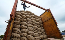 Vừa đoạt giải ngon nhất thế giới, giá xuất khẩu ‘hạt ngọc trời’ của Việt Nam tăng sốc ra sao kể từ đầu năm?