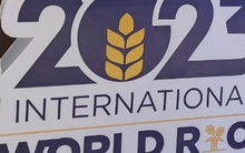 Lại lùm xùm quanh giải "gạo ngon nhất thế giới"