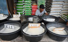 Indonesia nhập khẩu thêm gạo từ Việt Nam, Thái Lan, Pakistan và Myanmar