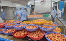 Tận dụng tối đa cơ hội cuối năm, đẩy mạnh tiêu dùng trong nước và xuất khẩu