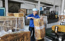 Kế hoạch lớn của ngành cao su