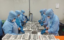 Kiên trì, kiên quyết gỡ khó để phục hồi tăng trưởng