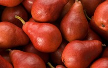 Khảo sát 478.000 người phát hiện 1 loại quả là ‘thuốc’ chống ung thư phổi, ổn định đường huyết: Rất sẵn ở chợ Việt