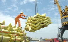 Một mặt hàng Trung Quốc nhập khẩu cực nhiều từ Việt Nam, chiếm 1/5 tổng hàng nhập khẩu của quốc gia tỷ dân này