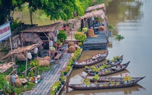 Về An Giang ghé rừng tràm lớn nhất miền Tây - nơi được coi là "nguồn cảm hứng" mới của giới làm phim Việt