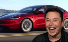 Elon Musk mang về cỗ máy lạ từ Ý, 600 robot mất việc, Toyota, Ford, Hyundai... thấy rồi vội 'bắt chước'