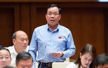 Bất cập dự án BOT: 'Chim sẻ mà hoang mang thì đại bàng cũng lo lắng'