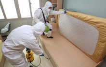 Kinh dị nạn rệp giường tại Hàn Quốc: Rệp “tiến hóa” tới mức dìm vào chai thuốc diệt côn trùng vẫn sống nhăn