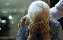 Cụ bà 80 tuổi đổi di chúc, tặng bệnh viện thú y 3 căn nhà, quyết không cho con thừa kế sau 1 sự việc