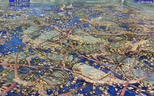 Giá tôm hùm bông bất ngờ giảm một nửa