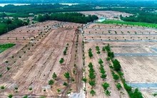 Cẩn thận với dự án 'ma'