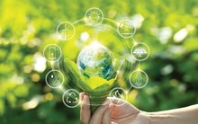 Doanh nghiệp được gì khi áp dụng công nghệ xanh?