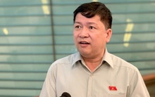 ĐBQH đánh giá phiên chất vấn thẳng thắn, dân chủ, làm "nóng" nghị trường