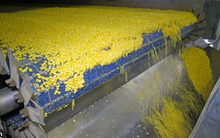 Giá rẻ hấp dẫn, 'báu vật quốc gia' của Ấn Độ ồ ạt về Việt Nam trong 9 tháng đầu năm, là cứu tinh quan trọng cho nhiều mặt hàng xuất khẩu tỷ USD