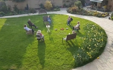 Không muốn vào viện dưỡng lão, 26 cụ bà xây nhà sống cùng nhau để khỏi phải dựa vào con cái