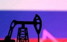 Nga đã khoét lỗ hổng trong lệnh trừng phạt của phương Tây như thế nào?