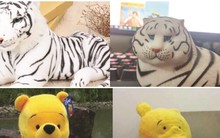 Rủi ro mua hàng trên mạng