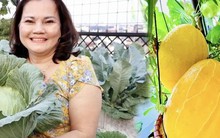 "Khu vườn trên mây" ngốn bạc tỷ của cô giáo Hà Nội: Rau trái đắt hơn vàng, là không gian chữa lành