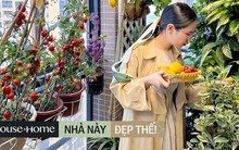 Ban công rộng chưa đến 10m2 khiến dân mạng trầm trồ: Không gian xanh mướt, hoa trái 4 mùa sai trĩu quả