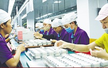 Doanh nghiệp Trung Quốc đánh giá cao môi trường đầu tư Việt Nam