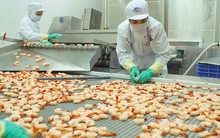 Có 33 mặt hàng đạt kim ngạch xuất khẩu trên 1 tỷ USD, hàng Việt đang ngày càng chinh phục thị trường thế giới