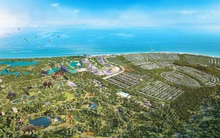 Bà Rịa - Vũng Tàu “khai tử” siêu dự án Safari Hồ Tràm gần 630ha