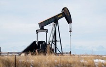 Giá dầu lao dốc 7 tuần liên tiếp: Hiện tượng “lịch sử” đảo lộn vị thế toàn cầu của các cường quốc dầu mỏ?