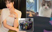 Góc choáng váng: "Phú bà" Lisa ngồi trên chiếc ghế có giá gần 1 tỷ đồng