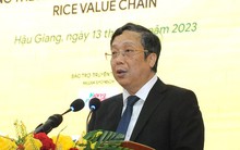 Xuất khẩu kỷ lục và những điểm nghẽn của lúa gạo Việt Nam